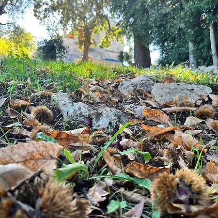 Il Trullo E Il Fortino Alberobello Zewnętrze zdjęcie