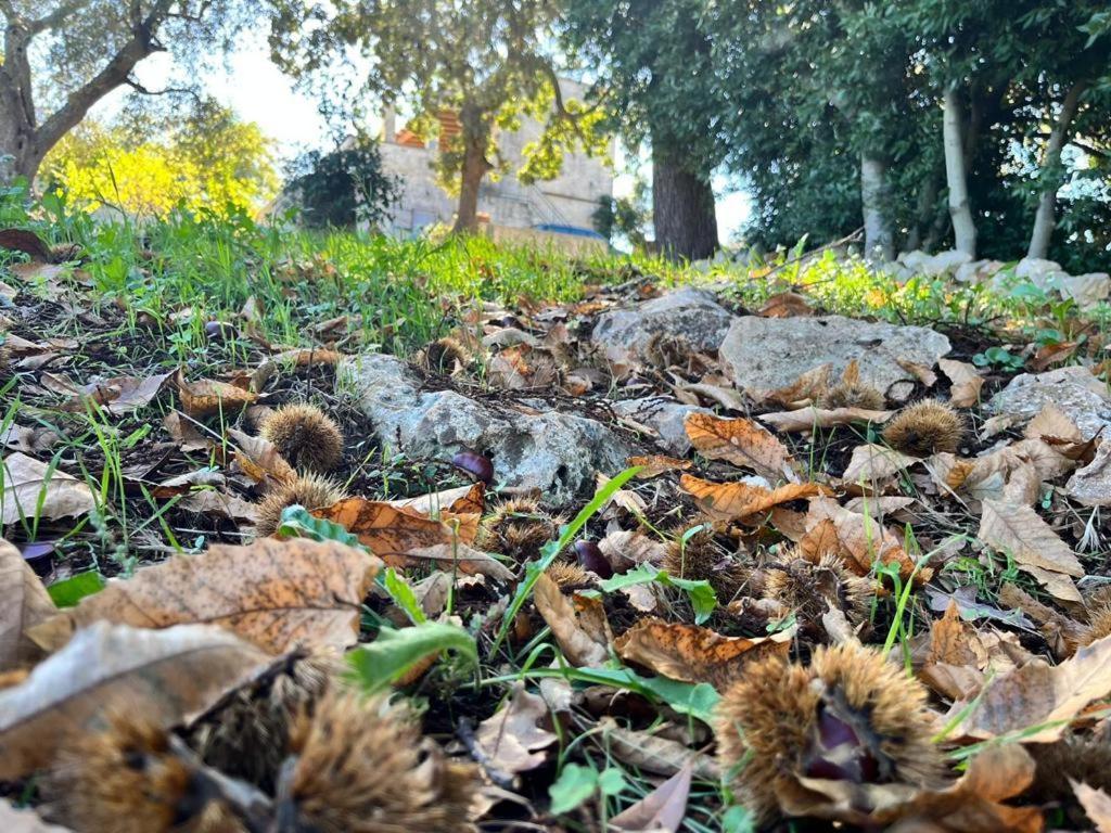 Il Trullo E Il Fortino Alberobello Zewnętrze zdjęcie